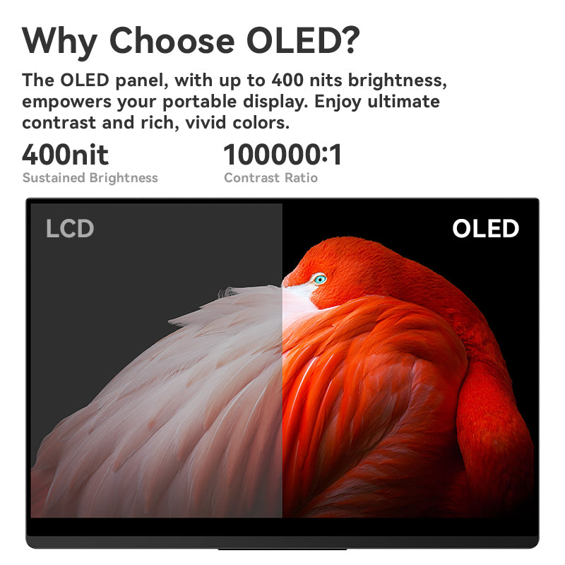 RO10 Pro